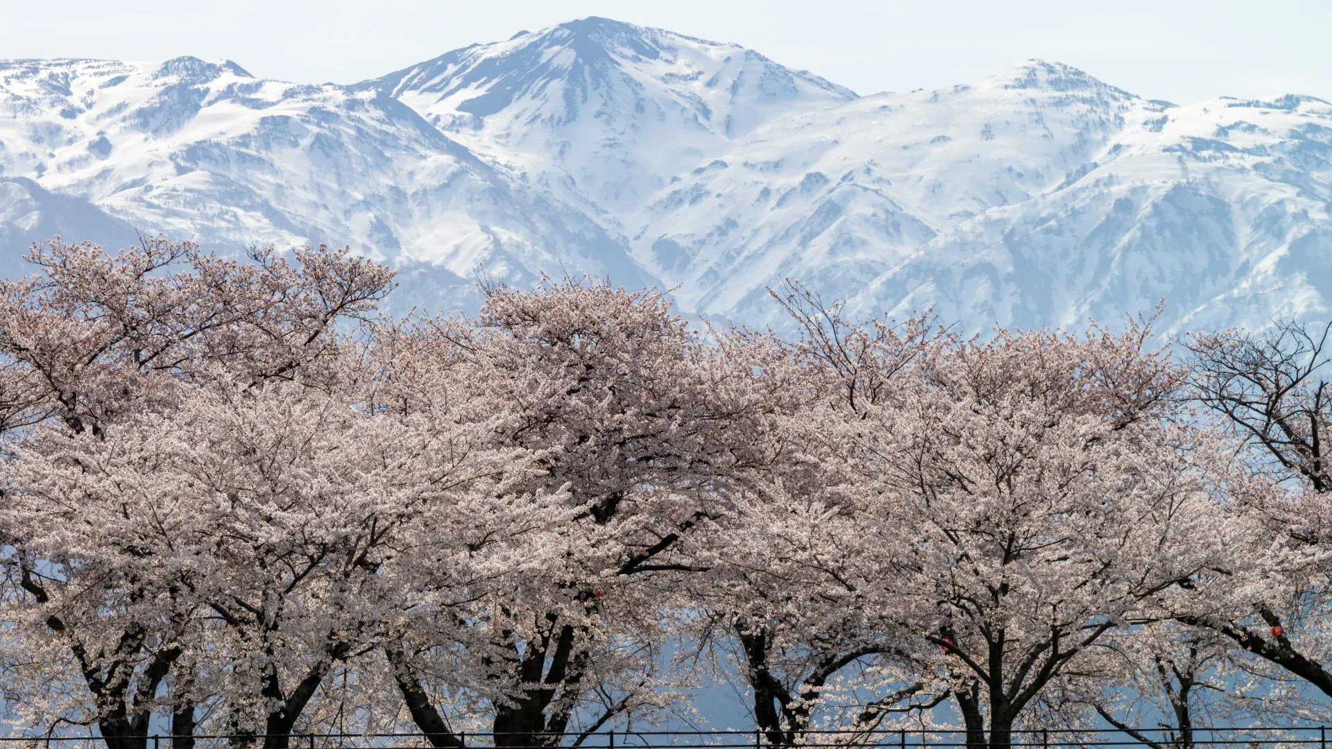 🏞️ 구레하야마 공원 전망대(구레하야마 코엔 텐보다이) 이미지 7